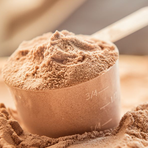 Protein Powder